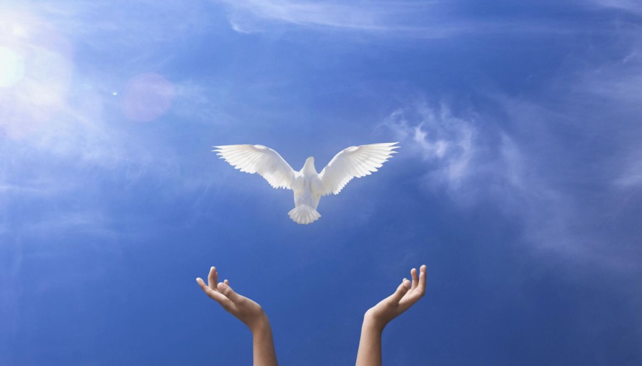 Devetnica Duhu Svetom