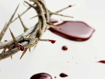 Devetnica u čast krvi Kristove